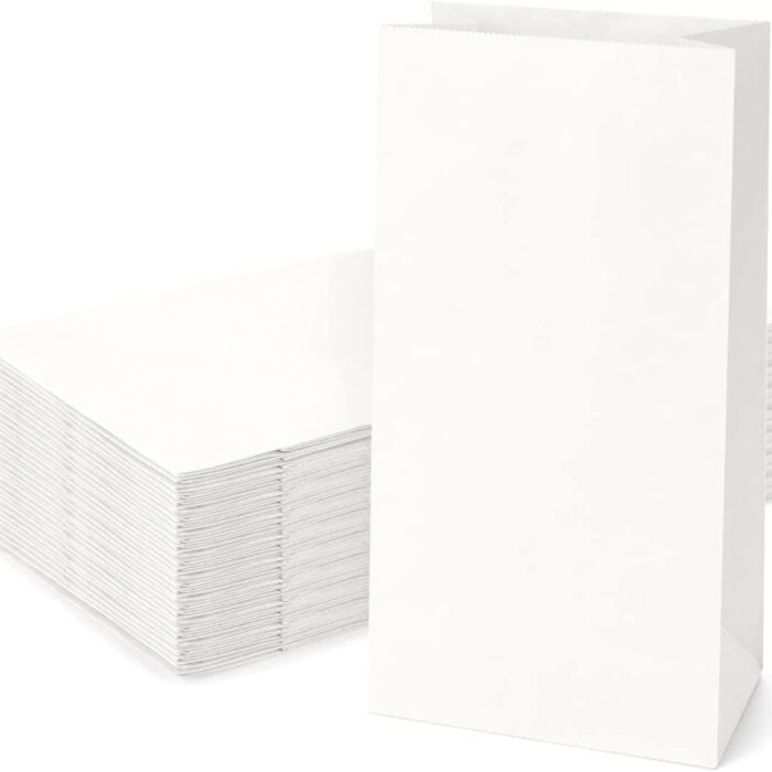 5KG V-Bottom Paper Bags (Pack of 100)