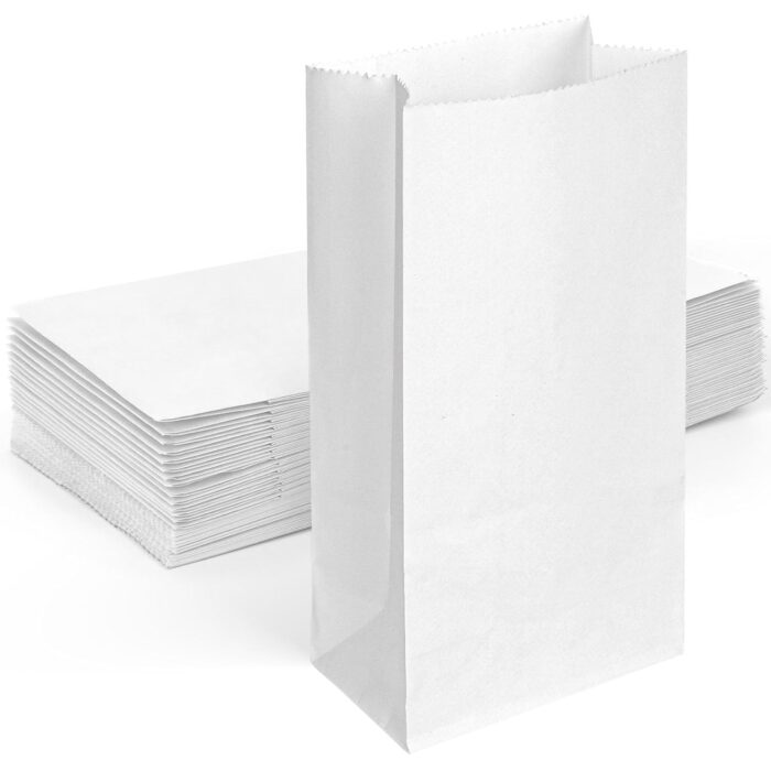1KG V-Bottom Paper Bags (Pack of 100)